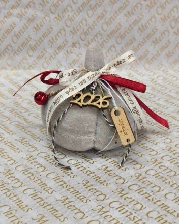 19  β  κολοκυθα γκρι (1)